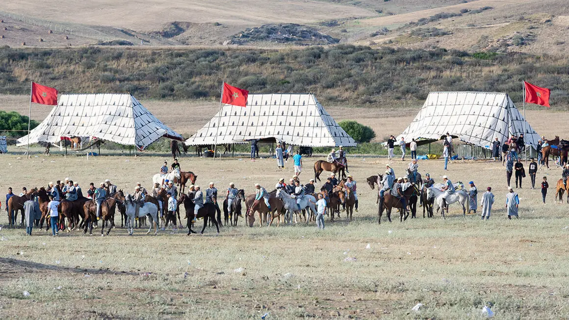 Festival Mata