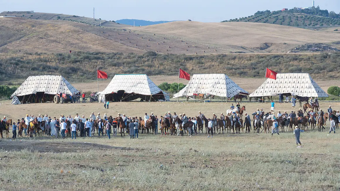 Festival Mata