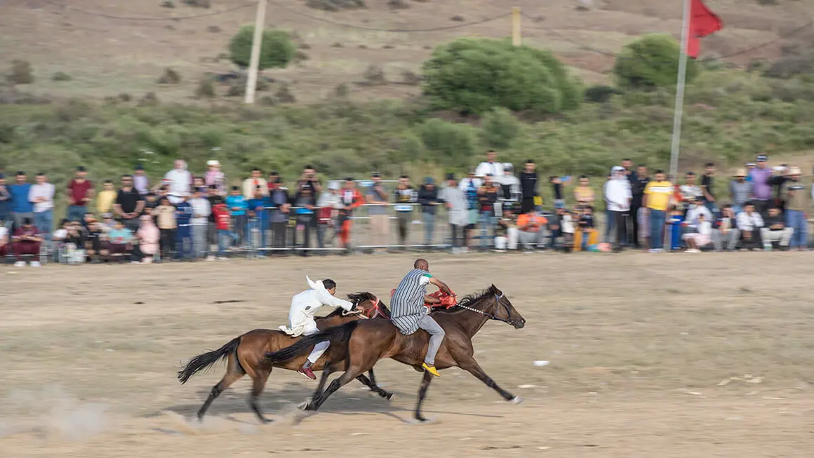 Festival Mata