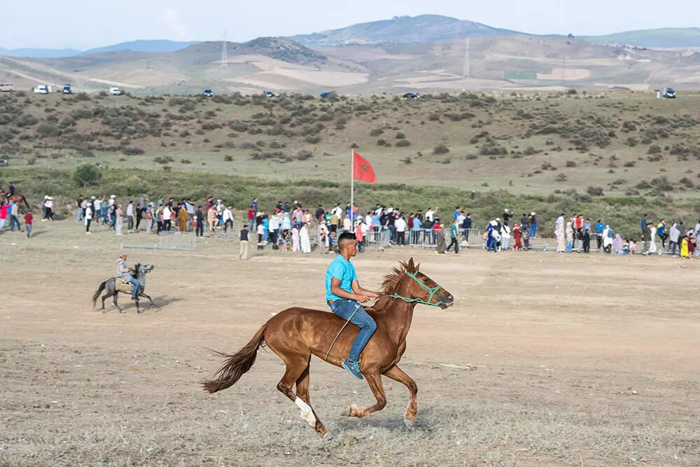 Festival Mata