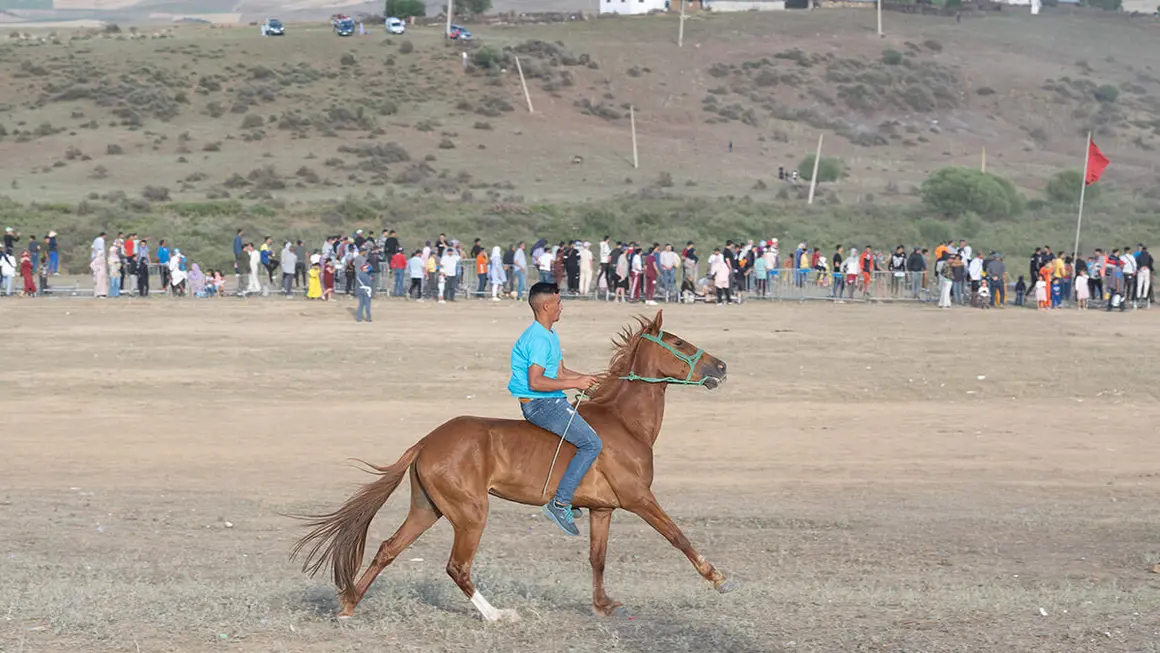 Festival Mata