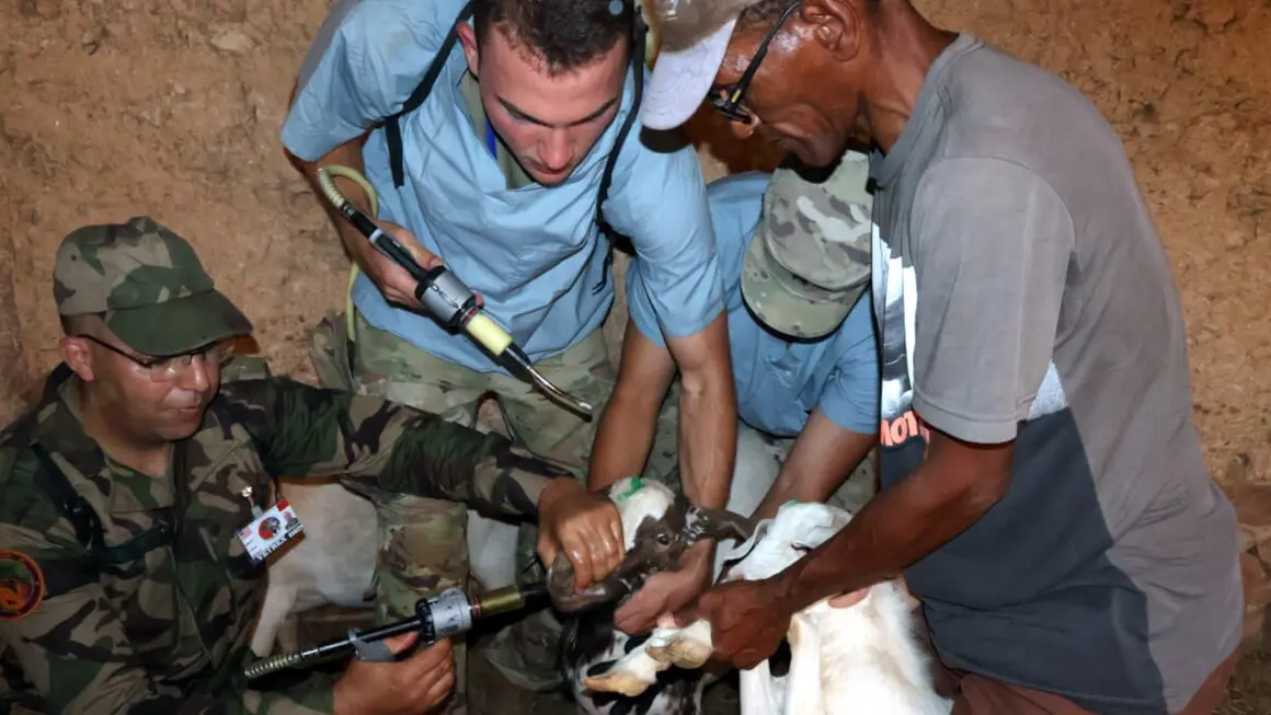 Ejercicios militares African Lion 2024 - PHOTO/X/@FAR_Maroc_