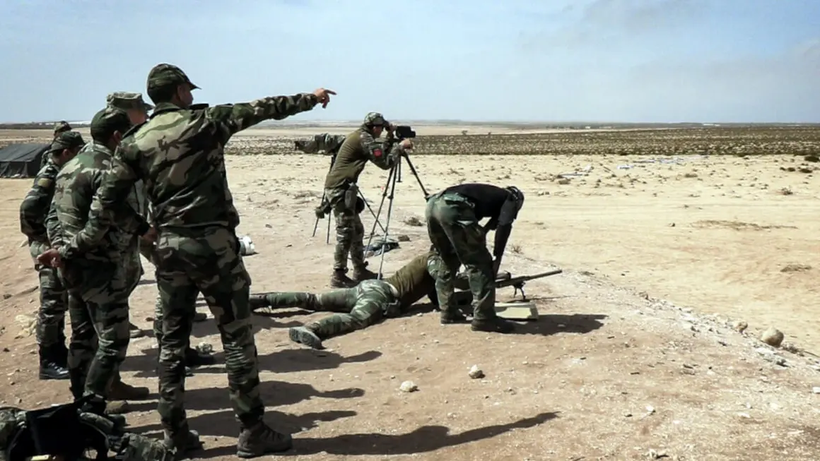 Ejercicios militares African Lion 2024 - PHOTO/X/@FAR_Maroc_