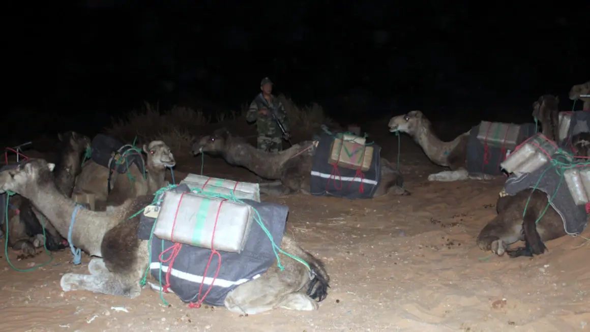 Ejercicios militares African Lion 2024 - PHOTO/X/@FAR_Maroc_