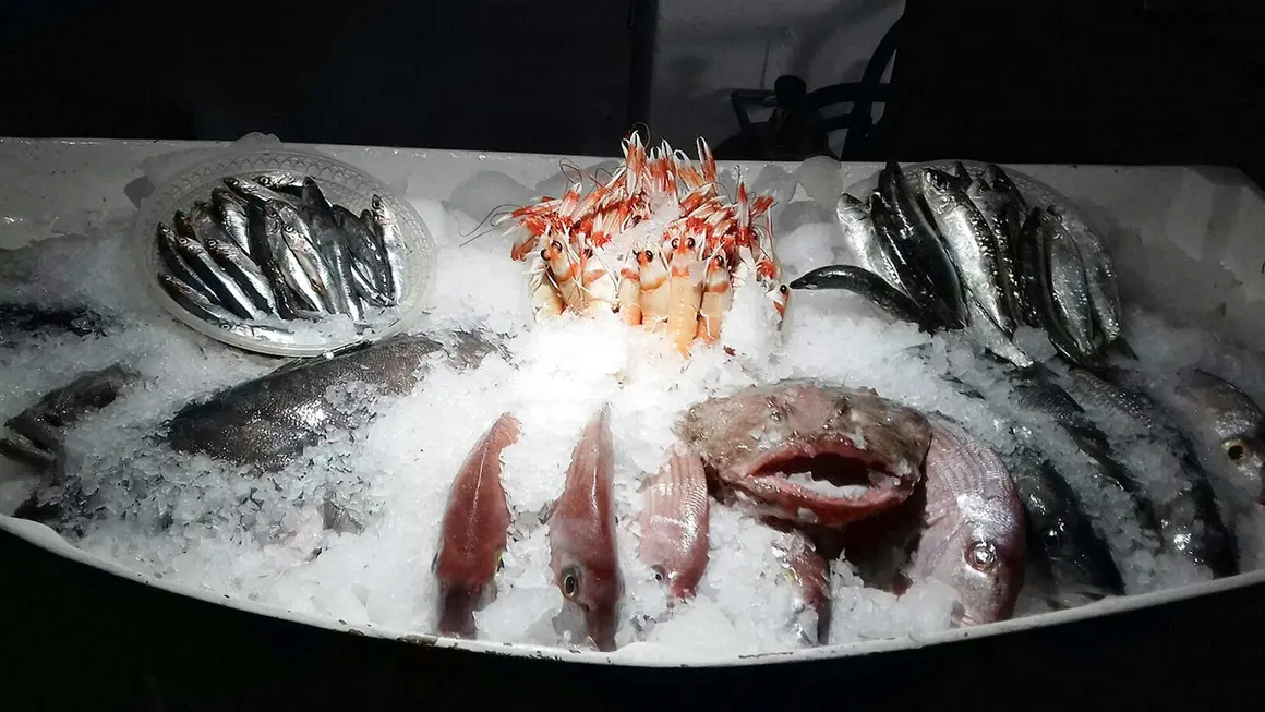 Pescados y mariscos frescos en la cocina del restaurante del Hotel Mandy - PHOTO/Redes sociales