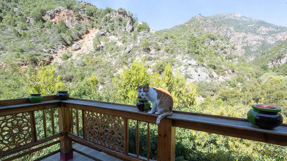 Alrededores del hotel Ermitage D'Akchour en Marruecos - ATALAYAR/GUILLERMO LÓPEZ