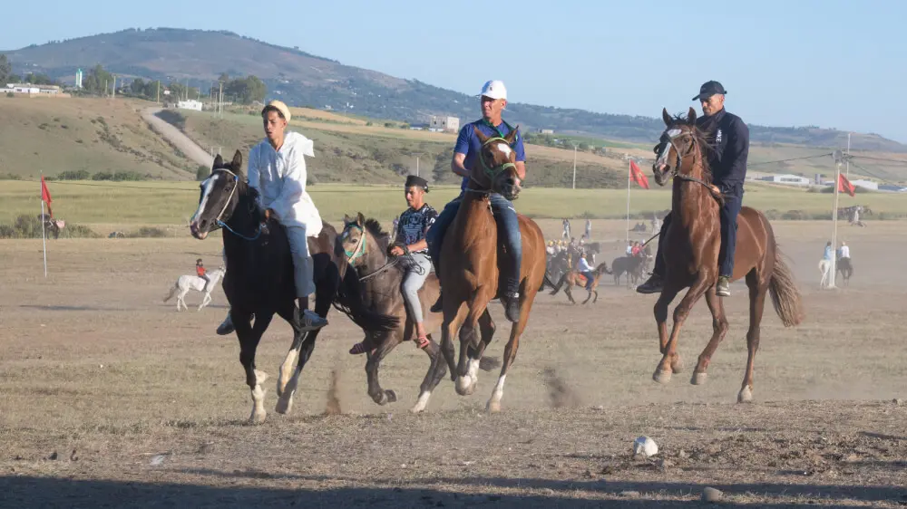 13ª edición del Festival Internacional Mata - ATALAYAR/GUILLERMO LÓPEZ