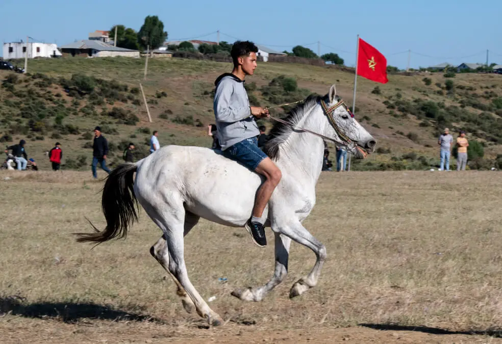 13ª edición del Festival Internacional Mata - ATALAYAR/GUILLERMO LÓPEZ