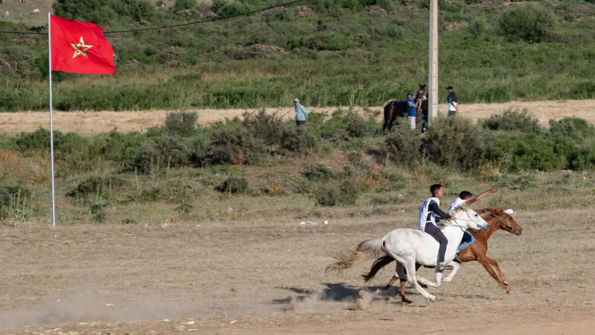 13ª edición del Festival Internacional Mata - ATALAYAR/GUILLERMO LÓPEZ