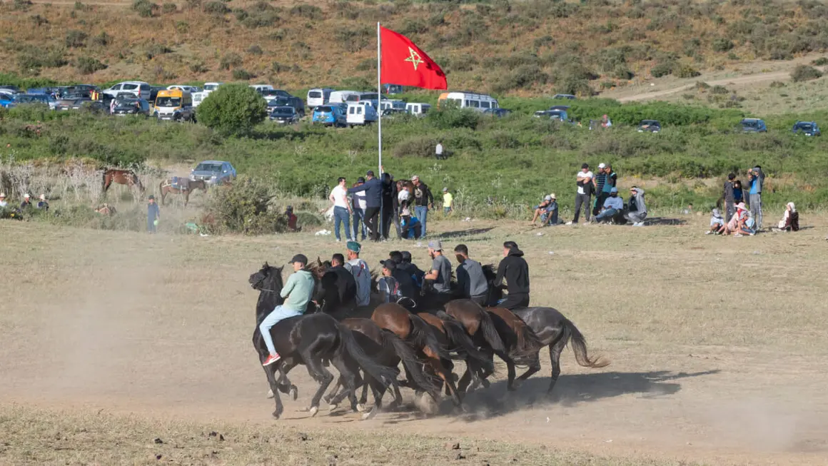13ª edición del Festival Internacional Mata - ATALAYAR/GUILLERMO LÓPEZ