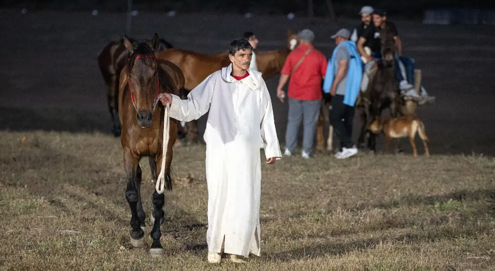 13ª edición del Festival Internacional Mata - ATALAYAR/GUILLERMO LÓPEZ