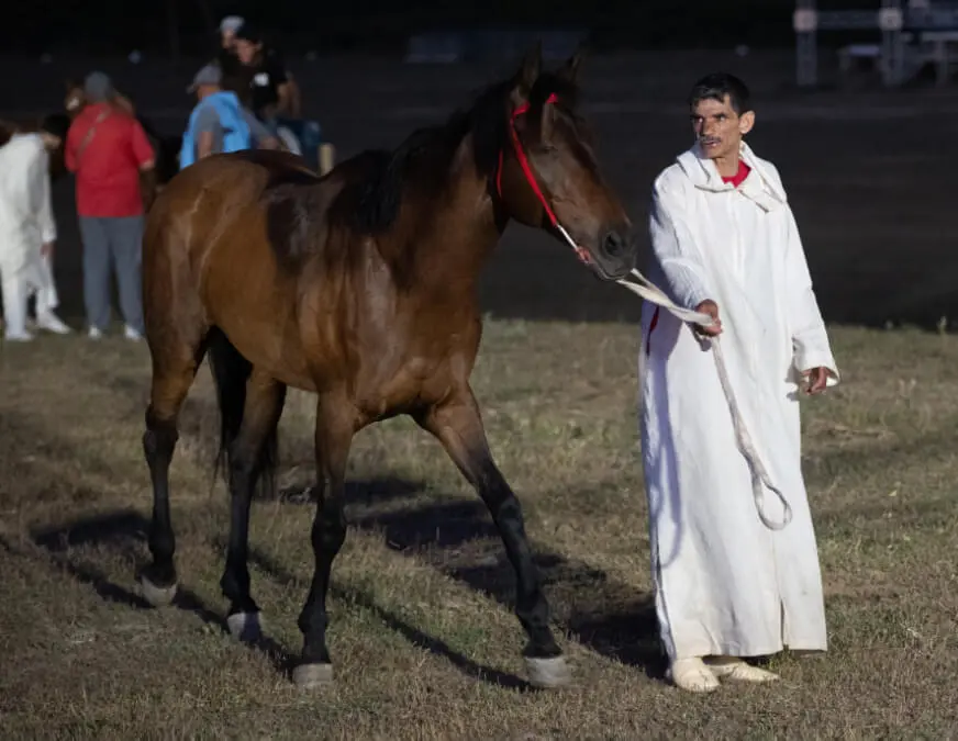 13ª edición del Festival Internacional Mata - ATALAYAR/GUILLERMO LÓPEZ