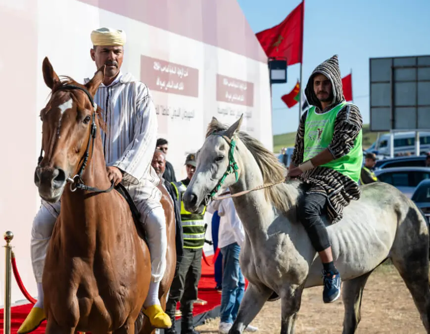 13ª edición del Festival Internacional Mata - ATALAYAR/GUILLERMO LÓPEZ