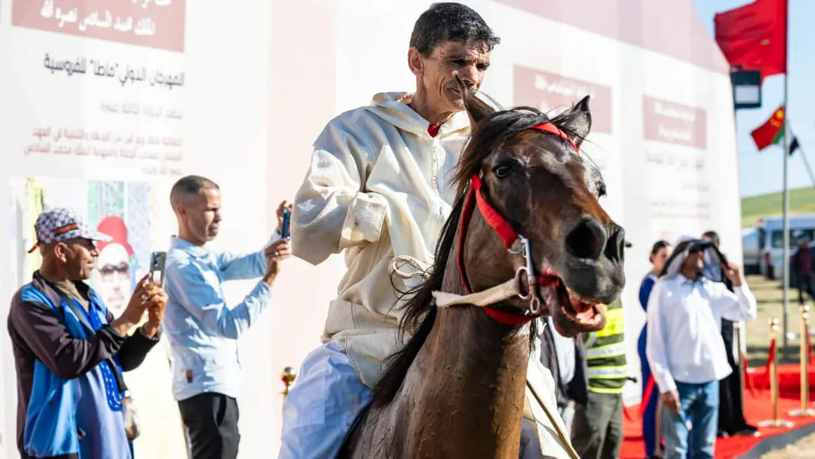 13ª edición del Festival Internacional Mata - ATALAYAR/GUILLERMO LÓPEZ
