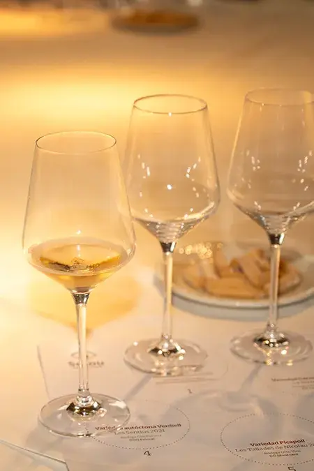 Cata de vinos organizada por el Ayuntamiento de Salou - PHOTO/Gema L&oacute;pez