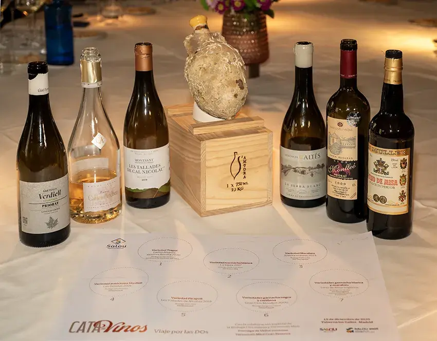 Cata de vinos organizada por el Ayuntamiento de Salou - PHOTO/Gema L&oacute;pez