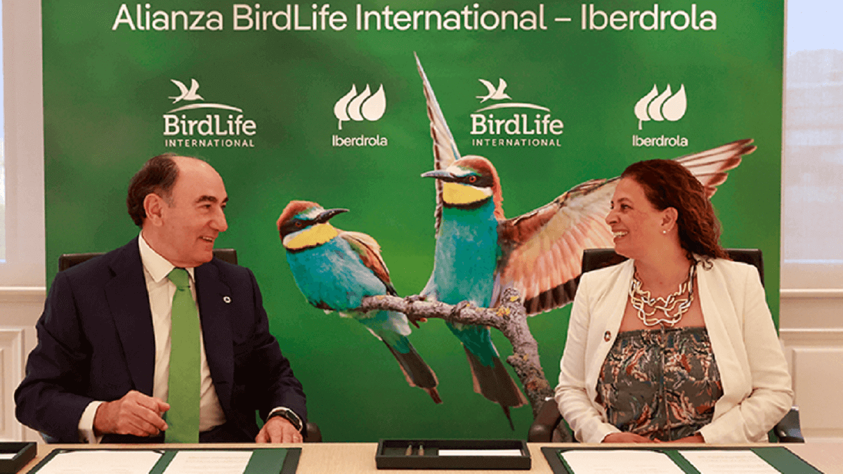 El presidente de Iberdrola, Ignacio Galán, con Patricia Zurita, consejera delegada de Birdlife International