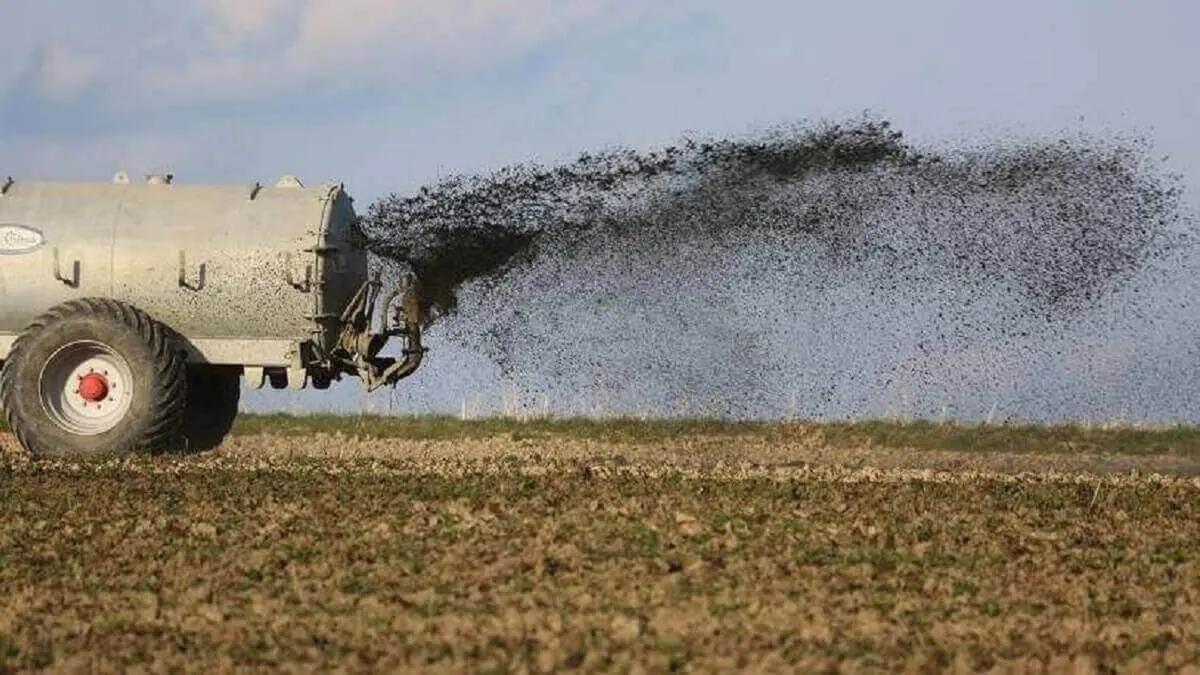 Fertilizantes de fosfato - PHOTO/ARCHIVO