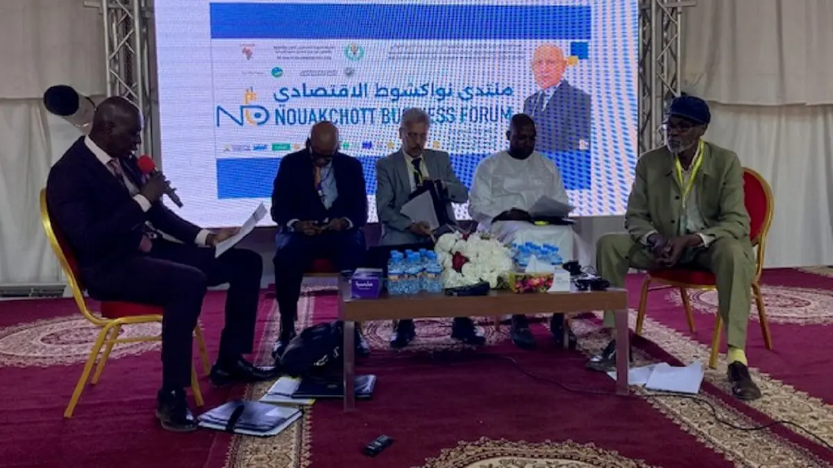 mauritania-economía (3)