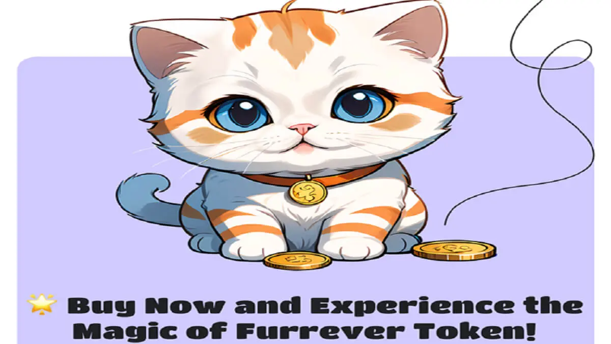 https://furrevertoken.com/es?ref_url=atalayar-furradasol-07032024