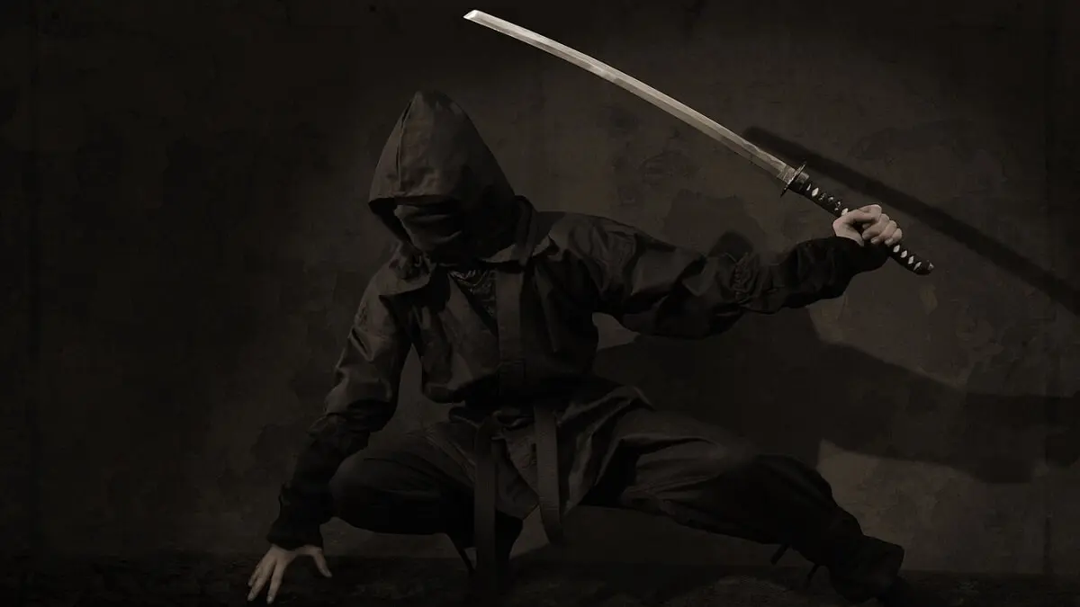 Ninja con katana - PHOTO/PIXABAY