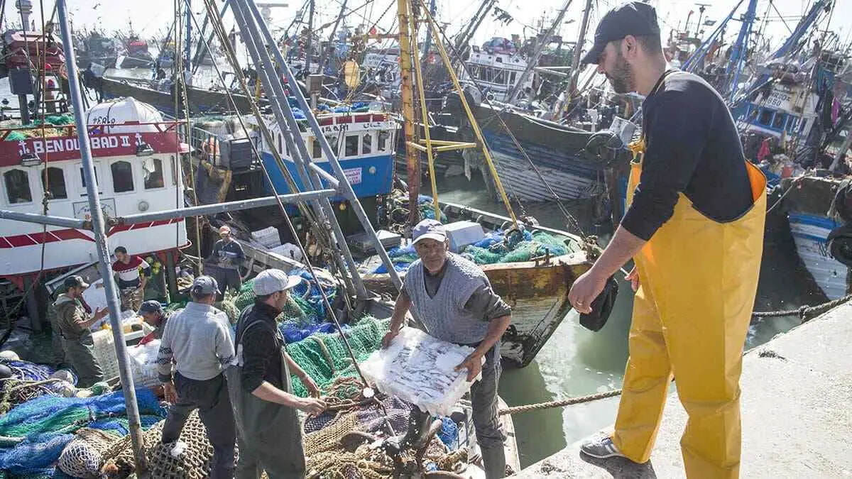 Pescadores descargan cajas de pescado de su barco en el puerto de la ciudad del Sáhara Occidental, El Aaiún - AFP/FADEL SENNA
