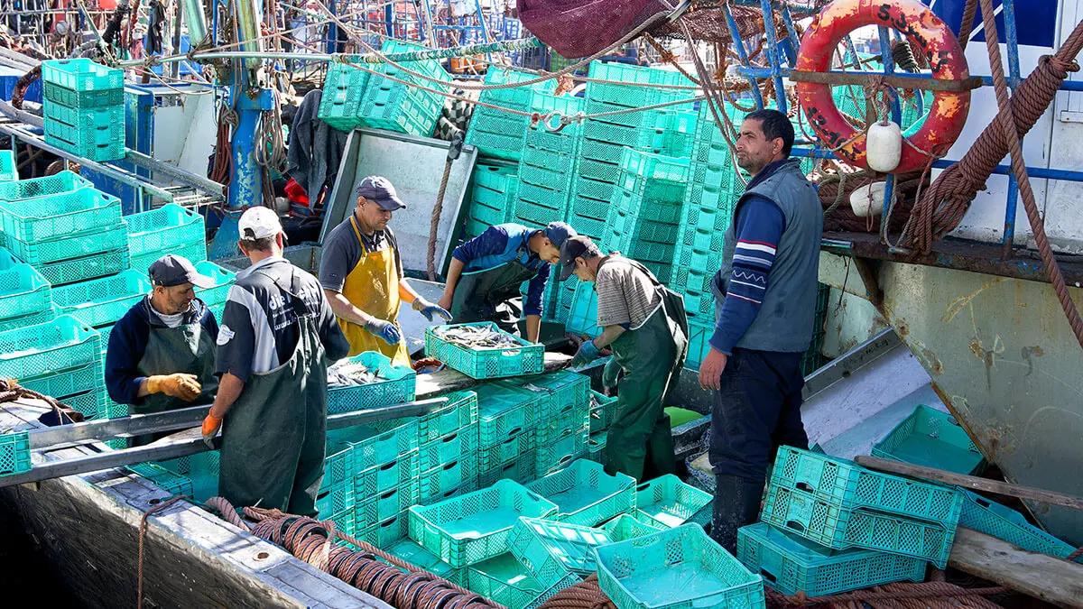 Pescadores de la región de Dajla en el puerto de Dajla, en la ciudad de Dajla, Marruecos - ATALAYAR/GUILLERMO LÓPEZ