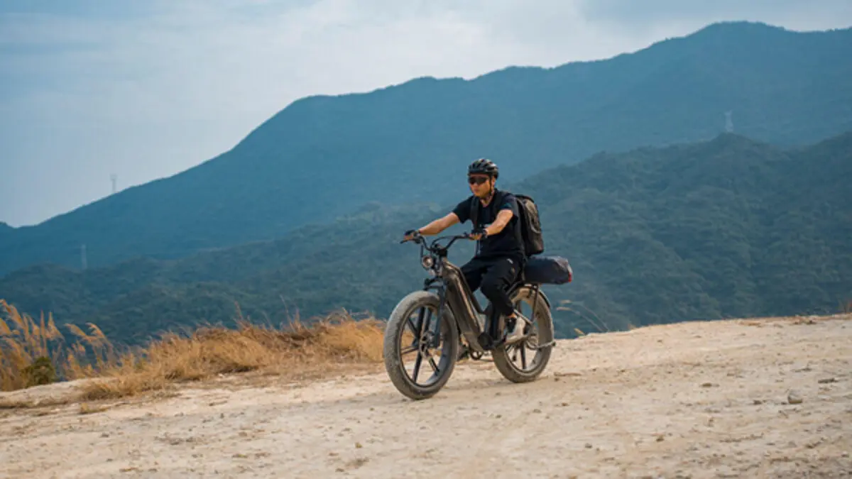 Bicicleta eléctrica Fiido