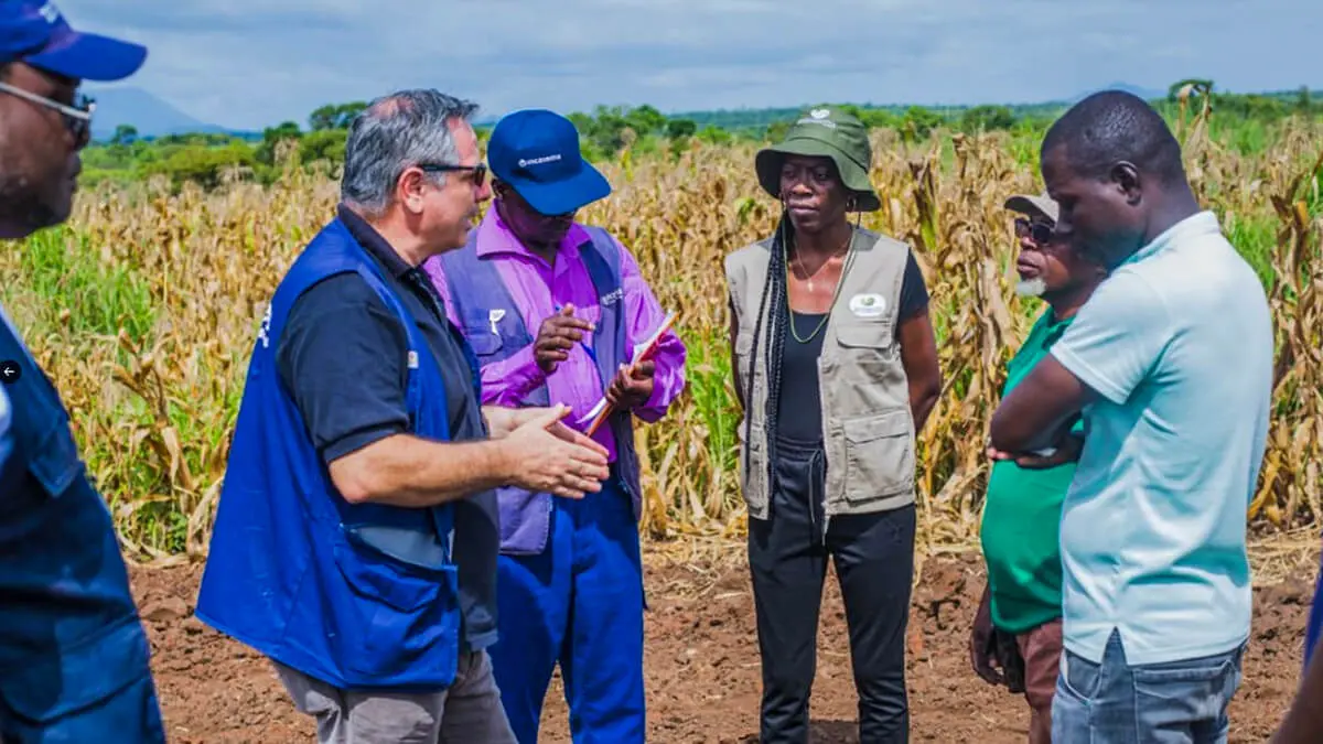 Día de África 2025: Incatema celebra la unidad, la cultura y el potencial del continente