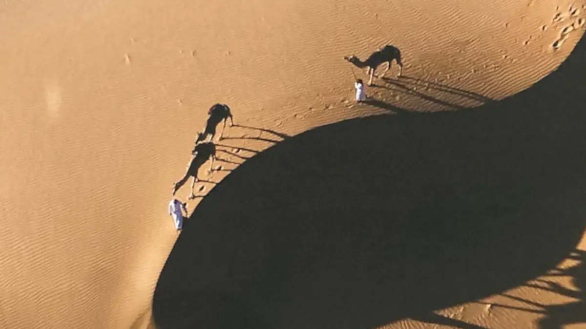Camellos en las dunas del desierto de Omán - PHOTO/PEDRO GONZ&Aacute;LEZ
