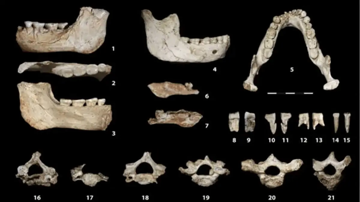 El origen africano, en lugar de euroasi&aacute;tico, del Homo sapiens est&aacute; hoy m&aacute;s respaldado gracias a la descripci&oacute;n y dataci&oacute;n de restos f&oacute;siles hallados en un yacimiento de Casablanca (Marruecos), que aportan nuevas pruebas de que &Aacute;frica es el origen de la especie humana. Ministerio de Cultura de Marruecos
