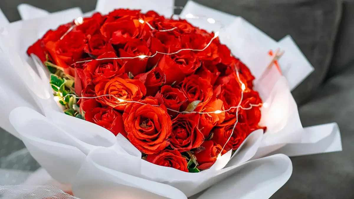 <a href="https://unsplash.com/photos/a-bouquet-of-red-roses-wrapped-in-white-paper-D9RY5__YnbM">https://unsplash.com/photos/a-bouquet-of-red-roses-wrapped-in-white-paper-D9RY5__YnbM</a>
