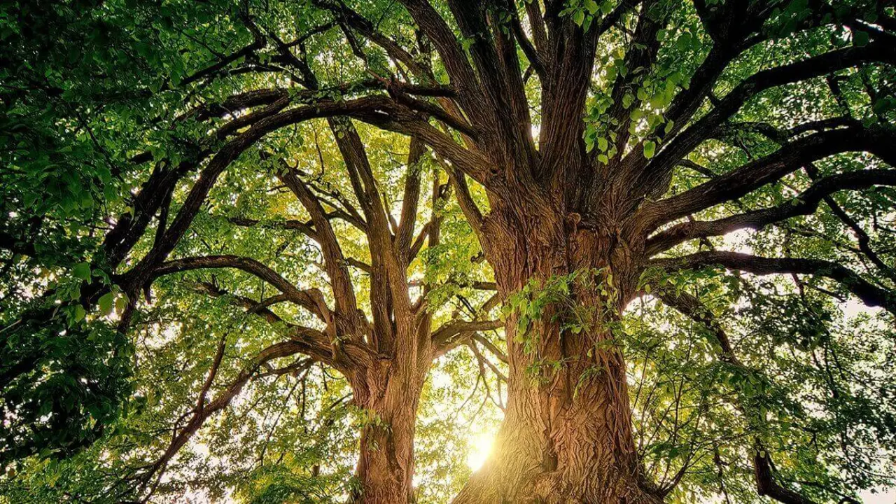 naturaleza-medio-ambiente