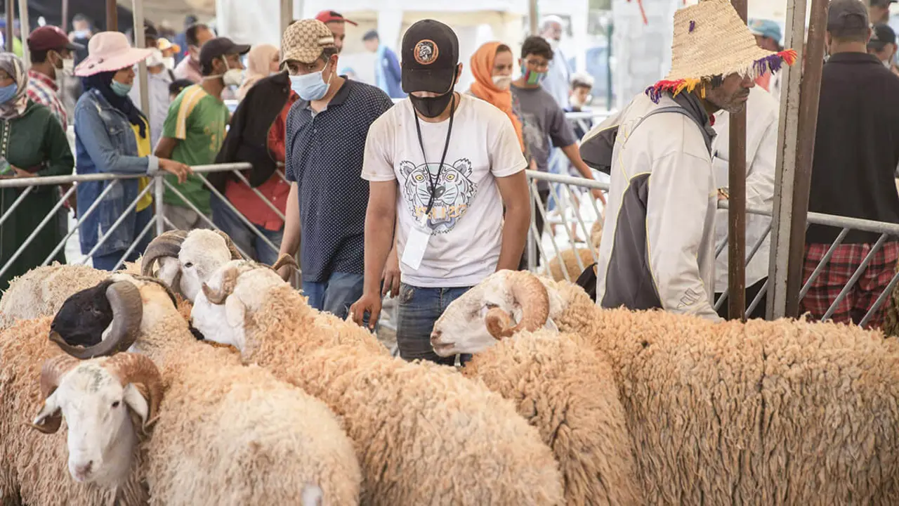 AP/MOSSAB ELSHAMY - La gente se reúne para comprar ovejas para la próxima festividad islámica de Eid al-Adha en un mercado en las afueras de Rabat, Marruecos