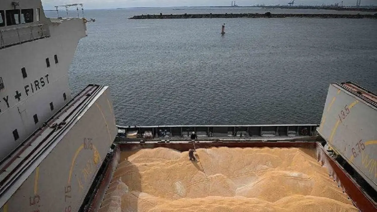AFP/DANIEL MIHAILESCU - Unos trabajadores toman muestras de maíz de un barco cargado en el muelle 80 del puerto del mar Negro de Constanza, el 3 de mayo de 2022