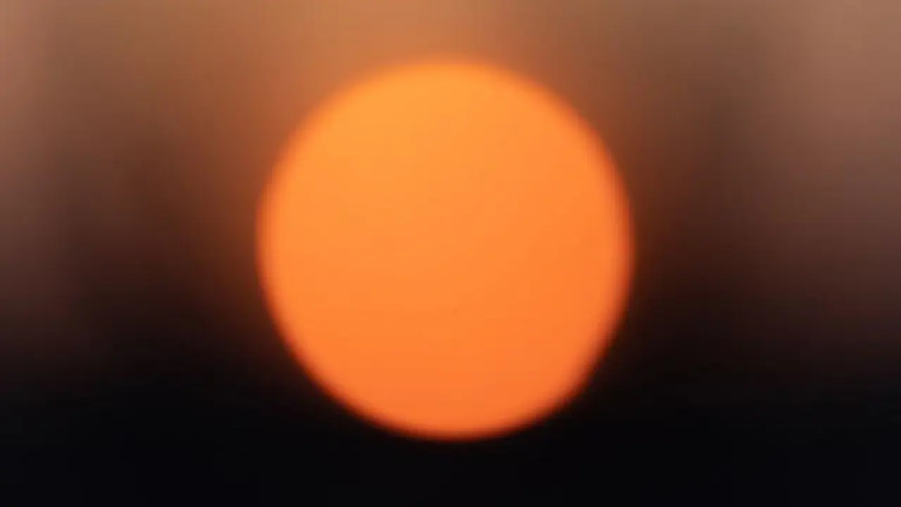 Unsplash/Raphael Wild Las altas temperaturas provocan estrés térmico y amenazan la salud
