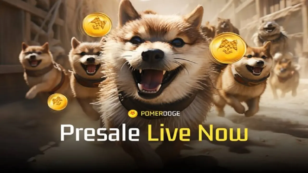 Pomerdoge