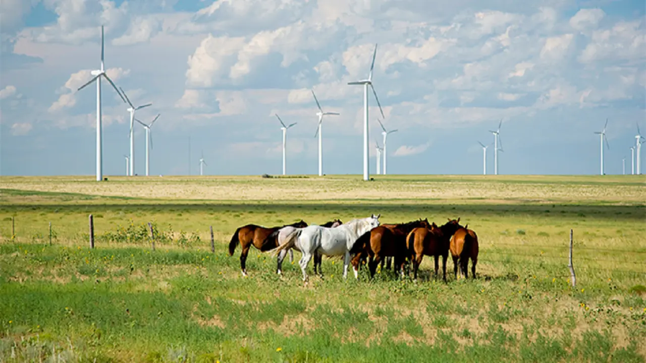 Iberdrola es la mejor utility del mundo en divulgación de información ESG y la primera empresa a nivel europeo, en la categoría Print-Based Alternative Reports del ranking mundial de la League of American Communications Professionals (LACP)