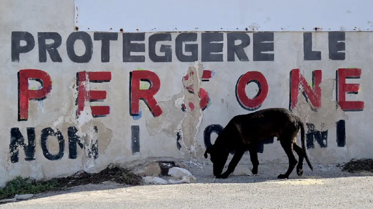 PHOTO/AFP/TIZIANA FABI - Un perro pasa junto a un cartel en el que se lee “Proteger a las personas, no las fronteras” en el muelle de Lampedusa, una pequeña isla al sur de Sicilia, el 26 de septiembre de 2023