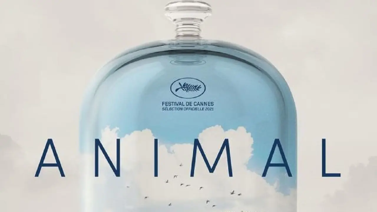 Animal