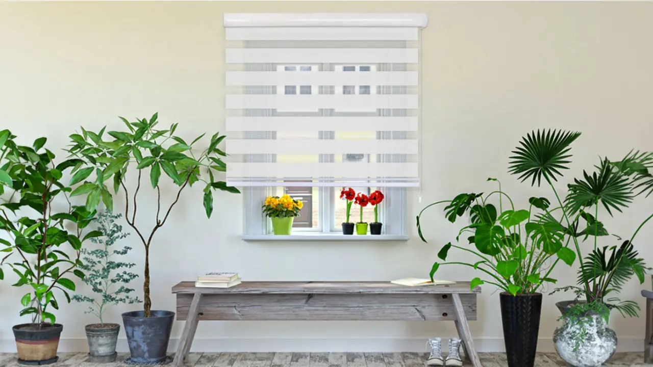 estores-decoración