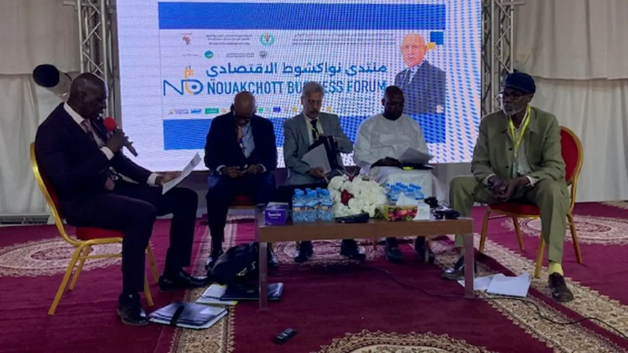 mauritania-economía (3)