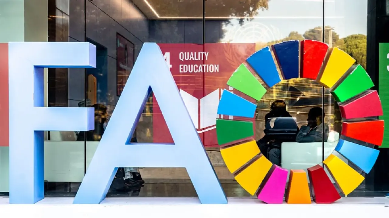 PHOTO/NURPHOTO VÍA AFP/DOMINIKA ZARZYCKA - Logo de la FAO durante el II Foro Mundial de la Alimentación organizado por la Organización de las Naciones Unidas para la Agricultura y la Alimentación en la sede de la FAO en Roma, Italia, el 17 de octubre de 2022