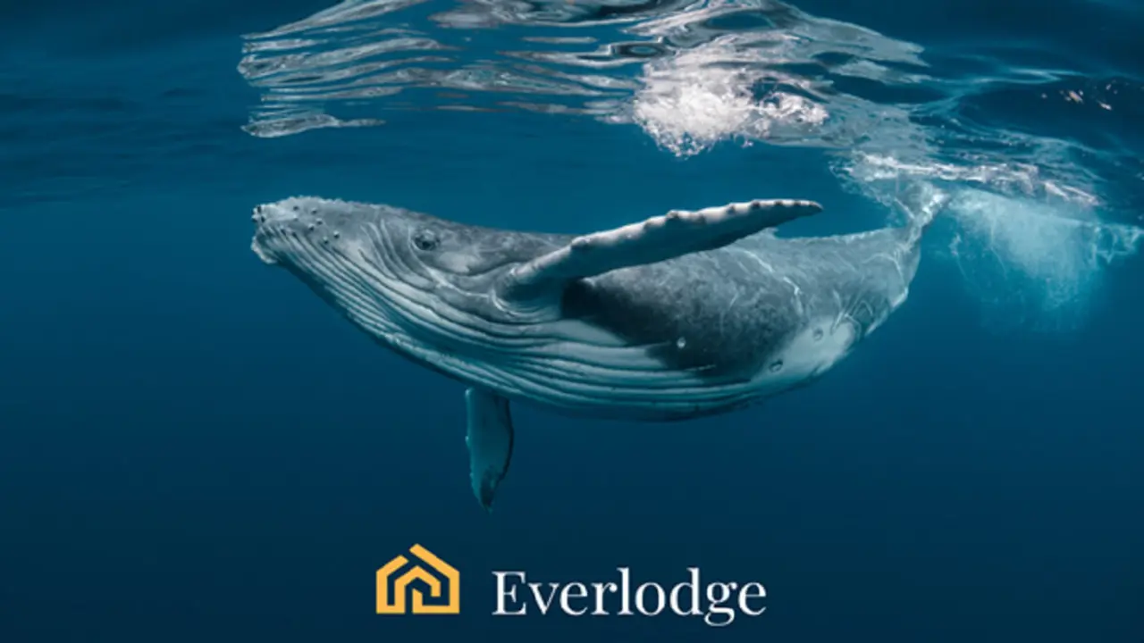 Everlodge