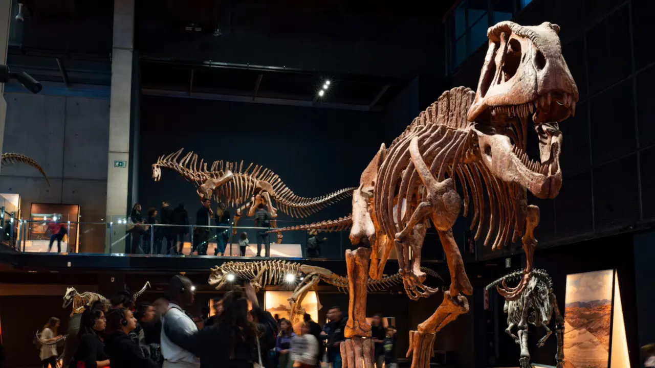 Exposición Dinosaurios de la Patagonia en el Museo de la Ciencia CosmoCaixa, en Barcelona.
