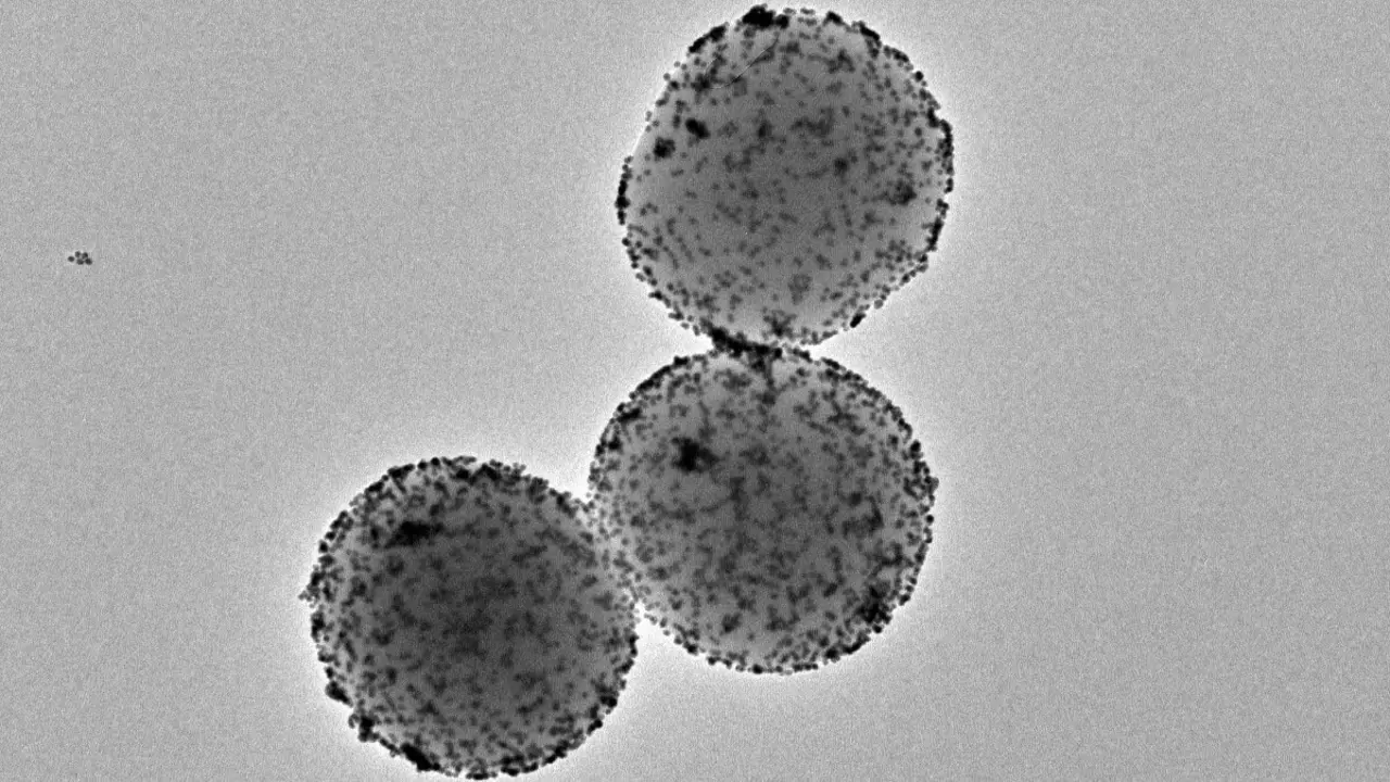 Imagen de microscopía electrónica de transmisión de los nanorrobots. © Instituto de Bioingeniería de Cataluña (IBEC).