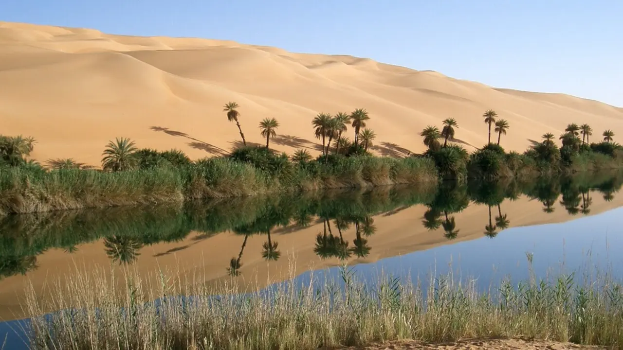Imagen de un oasis - PHOTO/PIXABAY