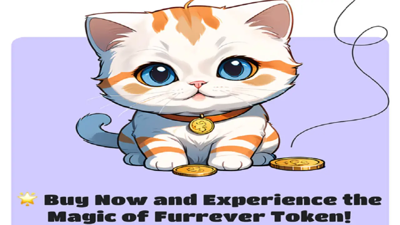 https://furrevertoken.com/es?ref_url=atalayar-furradasol-07032024
