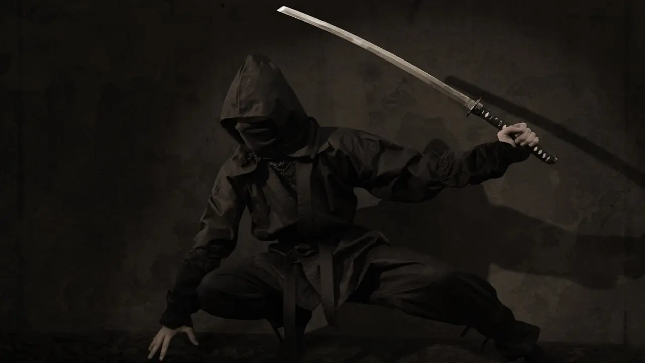 Ninja con katana - PHOTO/PIXABAY