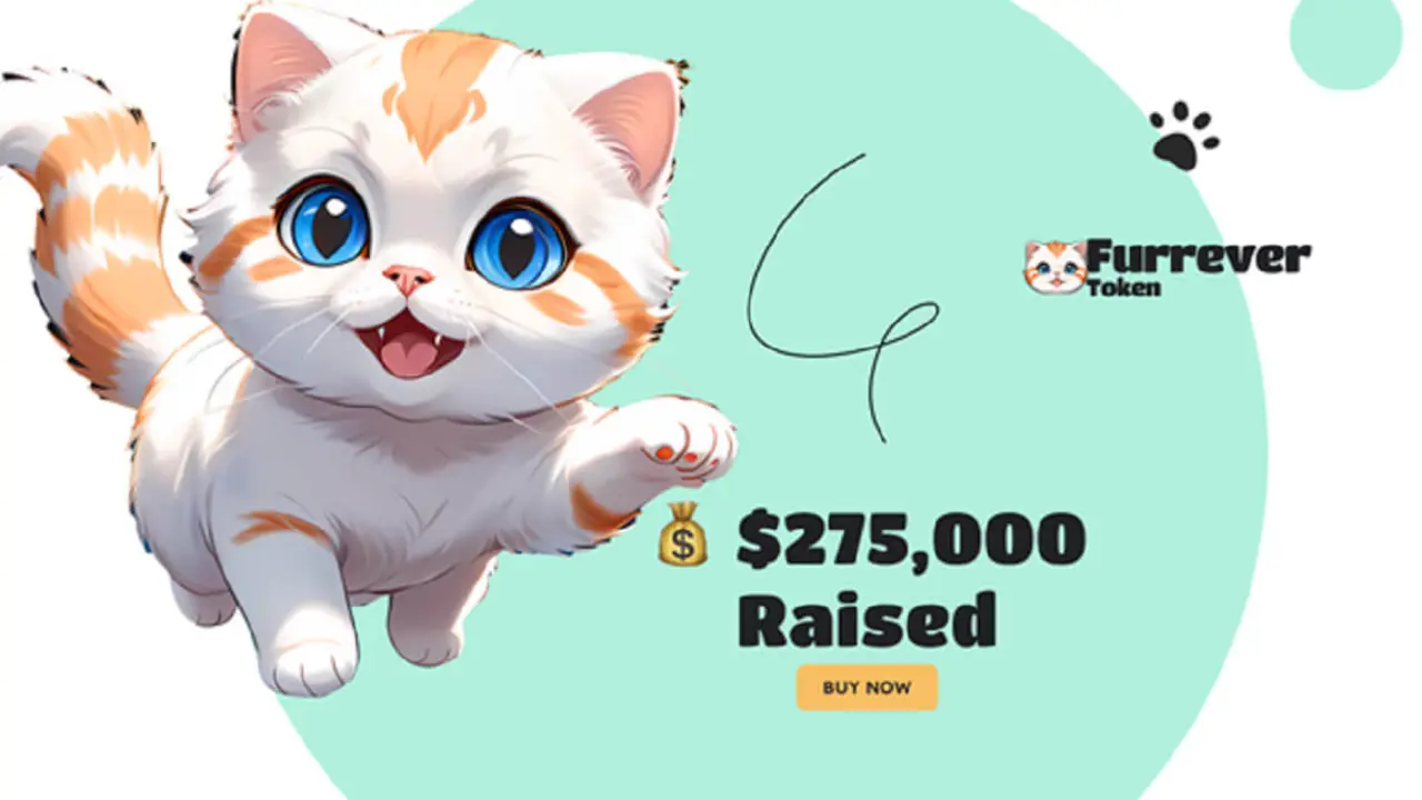 https://furrevertoken.com/?ref_url=ata-shibsolfurr-16032024
